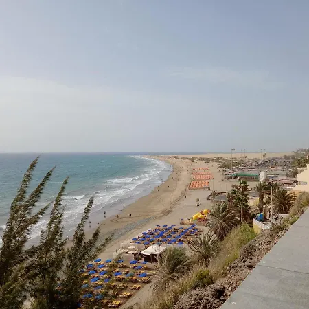 La Girafe De Dunas Solymar Apartment *