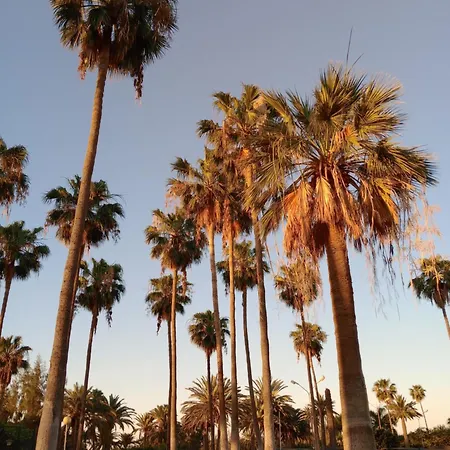 La Girafe De Dunas Solymar Апартаменты